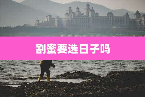 割蜜要选日子吗