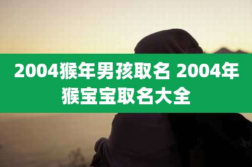 2004猴年男孩取名 2004年猴宝宝取名大全