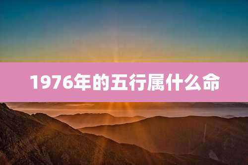 1976年的五行属什么命