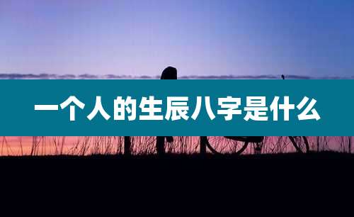一个人的生辰八字是什么