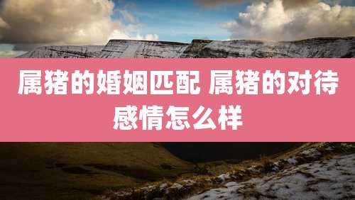 属猪的婚姻匹配 属猪的对待感情怎么样