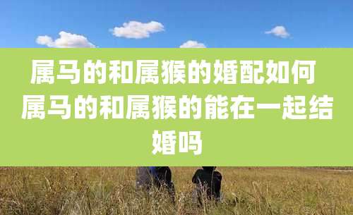 属马的和属猴的婚配如何 属马的和属猴的能在一起结婚吗