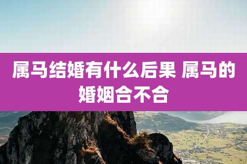 属马结婚有什么后果 属马的婚姻合不合