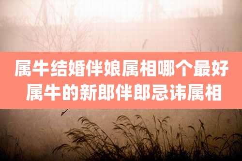 属牛结婚伴娘属相哪个最好 属牛的新郎伴郎忌讳属相