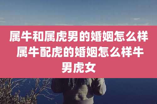 属牛和属虎男的婚姻怎么样 属牛配虎的婚姻怎么样牛男虎女