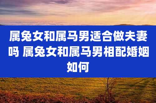 属兔女和属马男适合做夫妻吗 属兔女和属马男相配婚姻如何