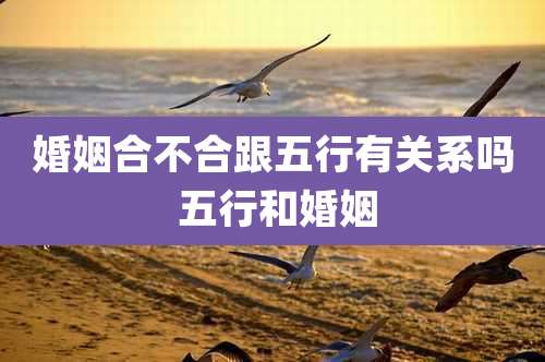 婚姻合不合跟五行有关系吗 五行和婚姻