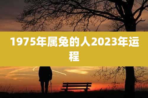 1975年属兔的人2023年运程