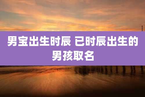 男宝出生时辰 已时辰出生的男孩取名