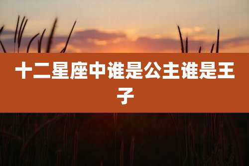 十二星座中谁是公主谁是王子