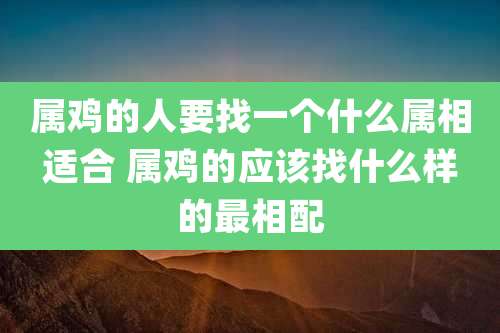 属鸡的人要找一个什么属相适合 属鸡的应该找什么样的最相配