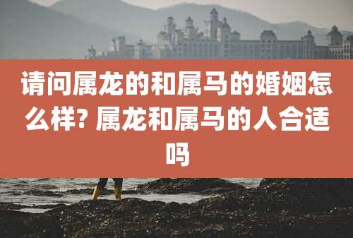 请问属龙的和属马的婚姻怎么样? 属龙和属马的人合适吗