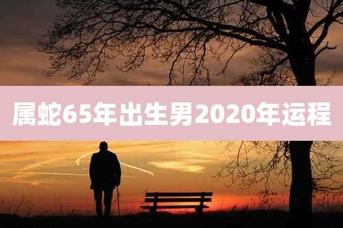 属蛇65年出生男2020年运程