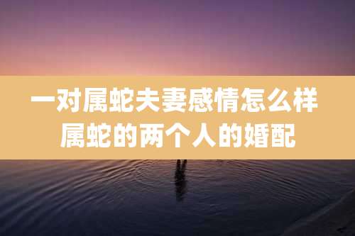 一对属蛇夫妻感情怎么样 属蛇的两个人的婚配