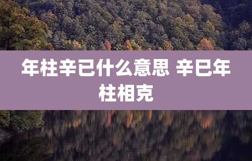年柱辛已什么意思 辛巳年柱相克