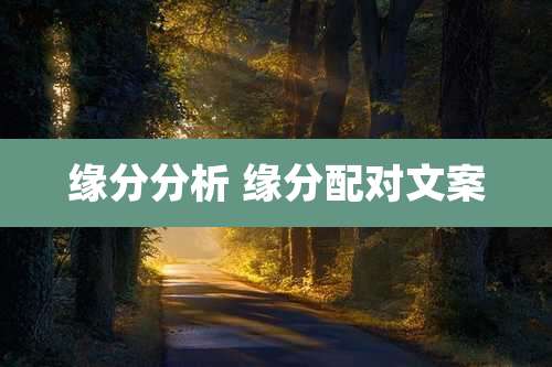 缘分分析 缘分配对文案