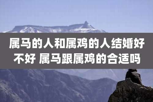 属马的人和属鸡的人结婚好不好 属马跟属鸡的合适吗