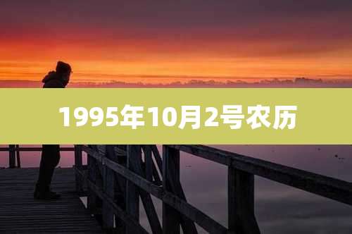 1995年10月2号农历