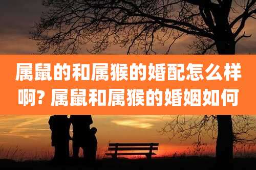 属鼠的和属猴的婚配怎么样啊? 属鼠和属猴的婚姻如何