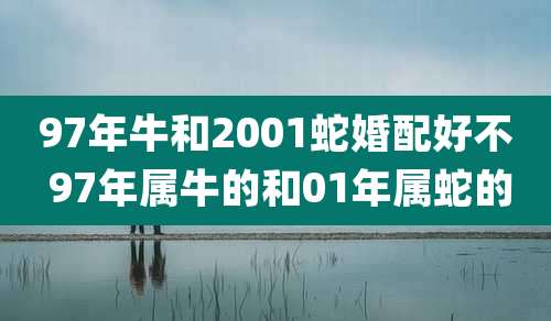 97年牛和2001蛇婚配好不 97年属牛的和01年属蛇的