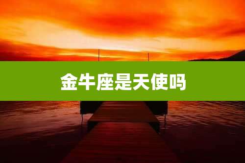 金牛座是天使吗