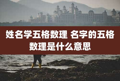 姓名学五格数理 名字的五格数理是什么意思