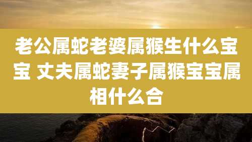 老公属蛇老婆属猴生什么宝宝 丈夫属蛇妻子属猴宝宝属相什么合