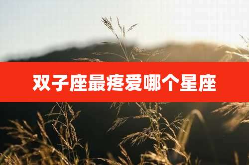 双子座最疼爱哪个星座