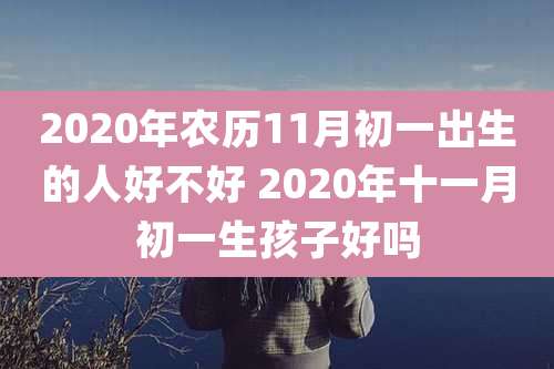 2020年农历11月初一出生的人好不好 2020年十一月初一生孩子好吗