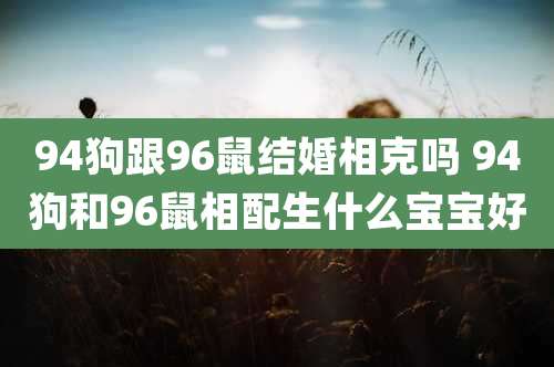 94狗跟96鼠结婚相克吗 94狗和96鼠相配生什么宝宝好
