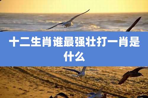 十二生肖谁最强壮打一肖是什么