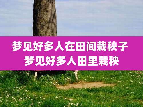 梦见好多人在田间栽秧子 梦见好多人田里栽秧
