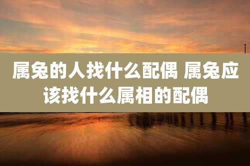 属兔的人找什么配偶 属兔应该找什么属相的配偶