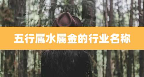 五行属水属金的行业名称