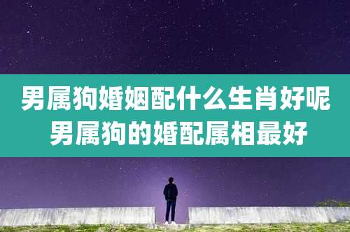 男属狗婚姻配什么生肖好呢 男属狗的婚配属相最好