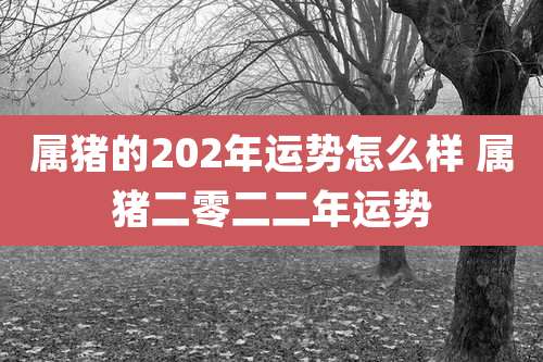 属猪的202年运势怎么样 属猪二零二二年运势