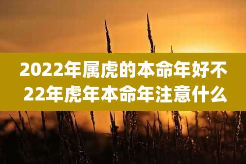 2022年属虎的本命年好不 22年虎年本命年注意什么