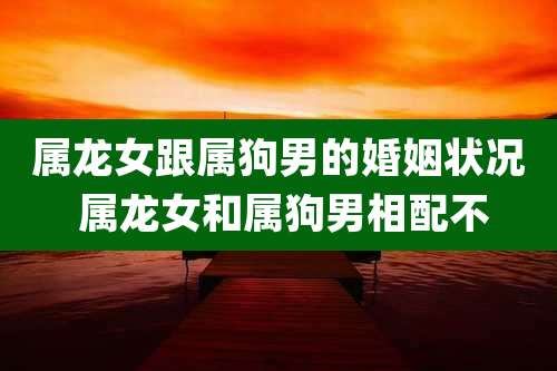 属龙女跟属狗男的婚姻状况 属龙女和属狗男相配不