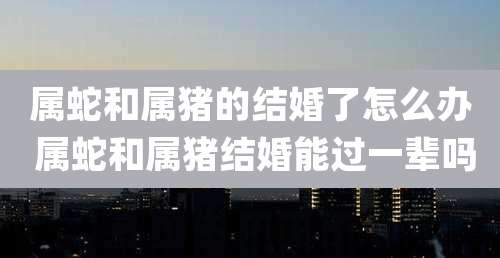 属蛇和属猪的结婚了怎么办 属蛇和属猪结婚能过一辈吗