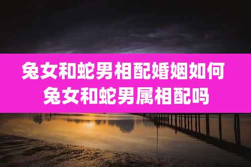 兔女和蛇男相配婚姻如何 兔女和蛇男属相配吗