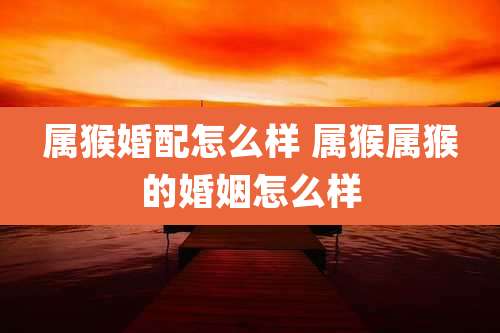 属猴婚配怎么样 属猴属猴的婚姻怎么样