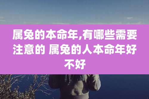 属兔的本命年,有哪些需要注意的 属兔的人本命年好不好