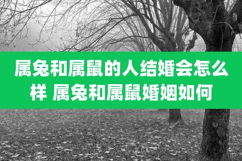 属兔和属鼠的人结婚会怎么样 属兔和属鼠婚姻如何