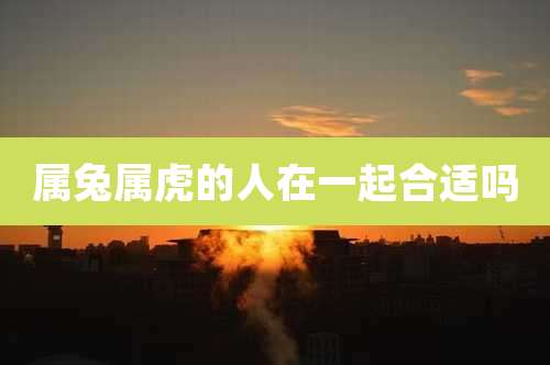 属兔属虎的人在一起合适吗