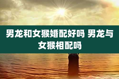 男龙和女猴婚配好吗 男龙与女猴相配吗