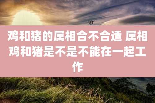鸡和猪的属相合不合适 属相鸡和猪是不是不能在一起工作