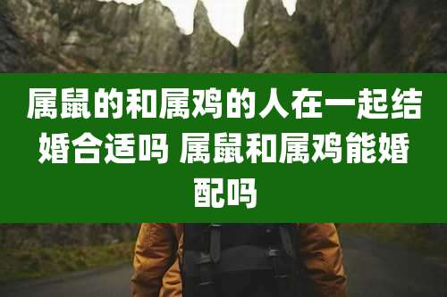 属鼠的和属鸡的人在一起结婚合适吗 属鼠和属鸡能婚配吗