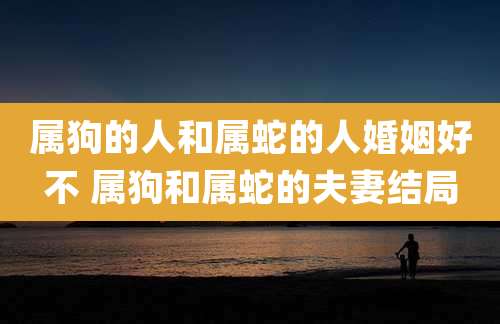 属狗的人和属蛇的人婚姻好不 属狗和属蛇的夫妻结局