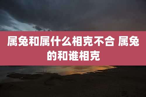属兔和属什么相克不合 属兔的和谁相克