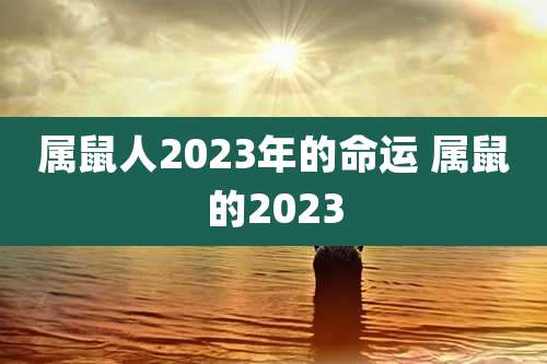 属鼠人2023年的命运 属鼠的2023